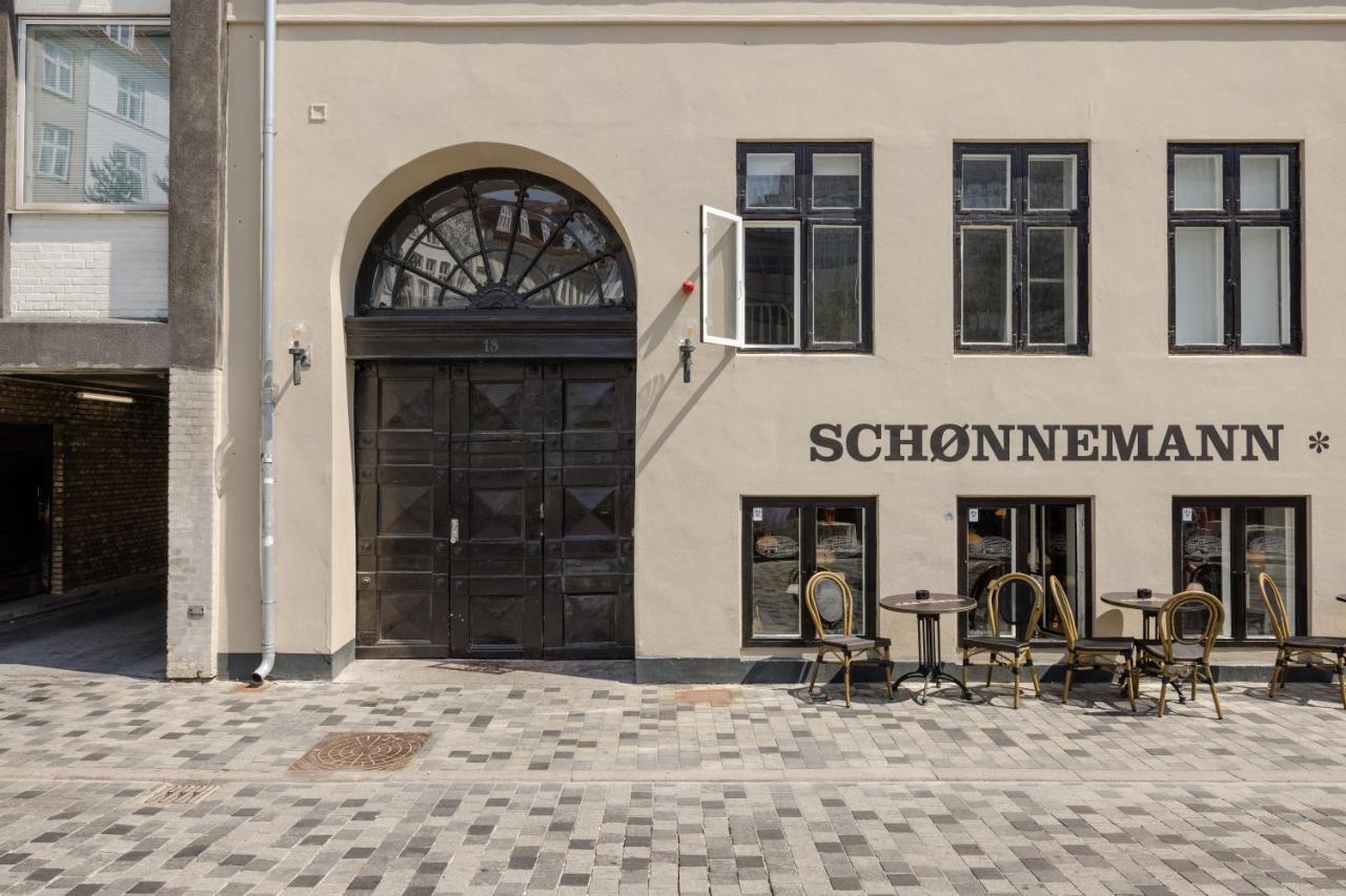 220sqm Designer - Center - Private Balcony Apartment Copenhagen